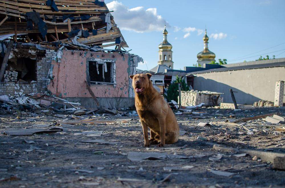 Guardian of the Ruins Alone at Home