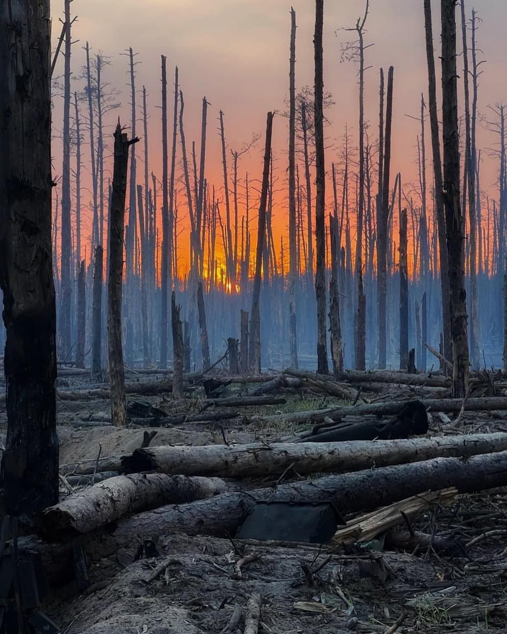 Serebeyansky Forest: Luhansk’s Sunrise Frontline, the 21st Century Ardennes