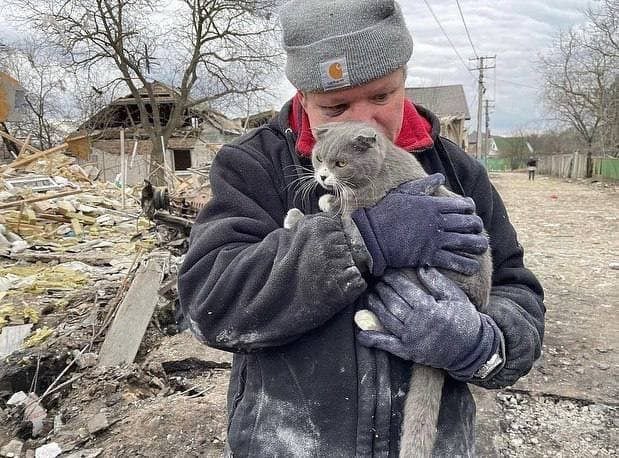 Losses after strike on Markhalivka, Kyiv Oblast