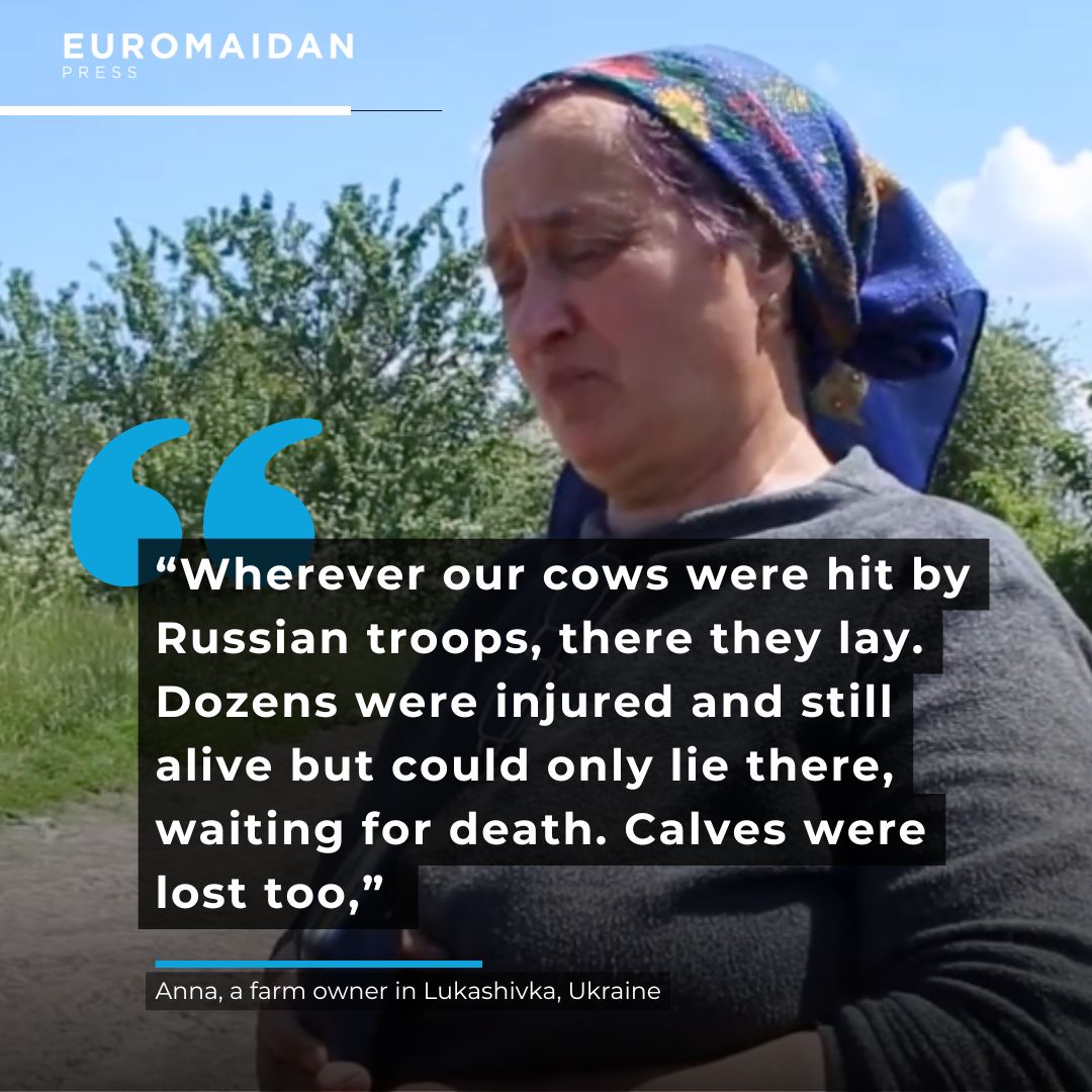 Russian forces destroy farm, kill cows, torture son, hold family hostage