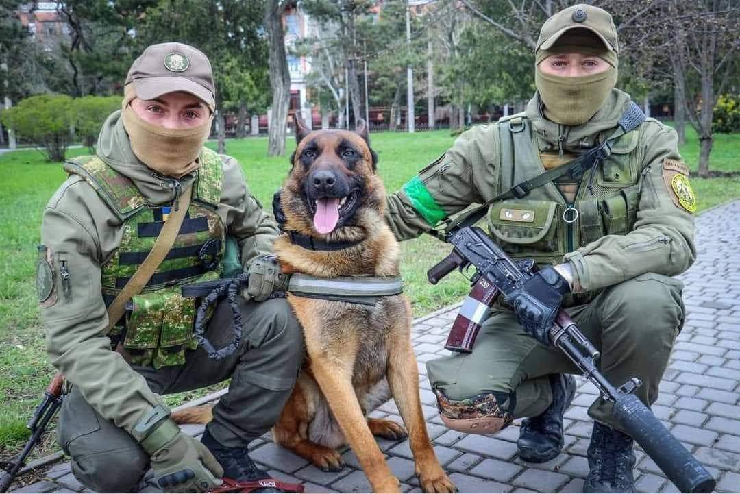 Belgian Shepherd Max learns Ukrainian commands