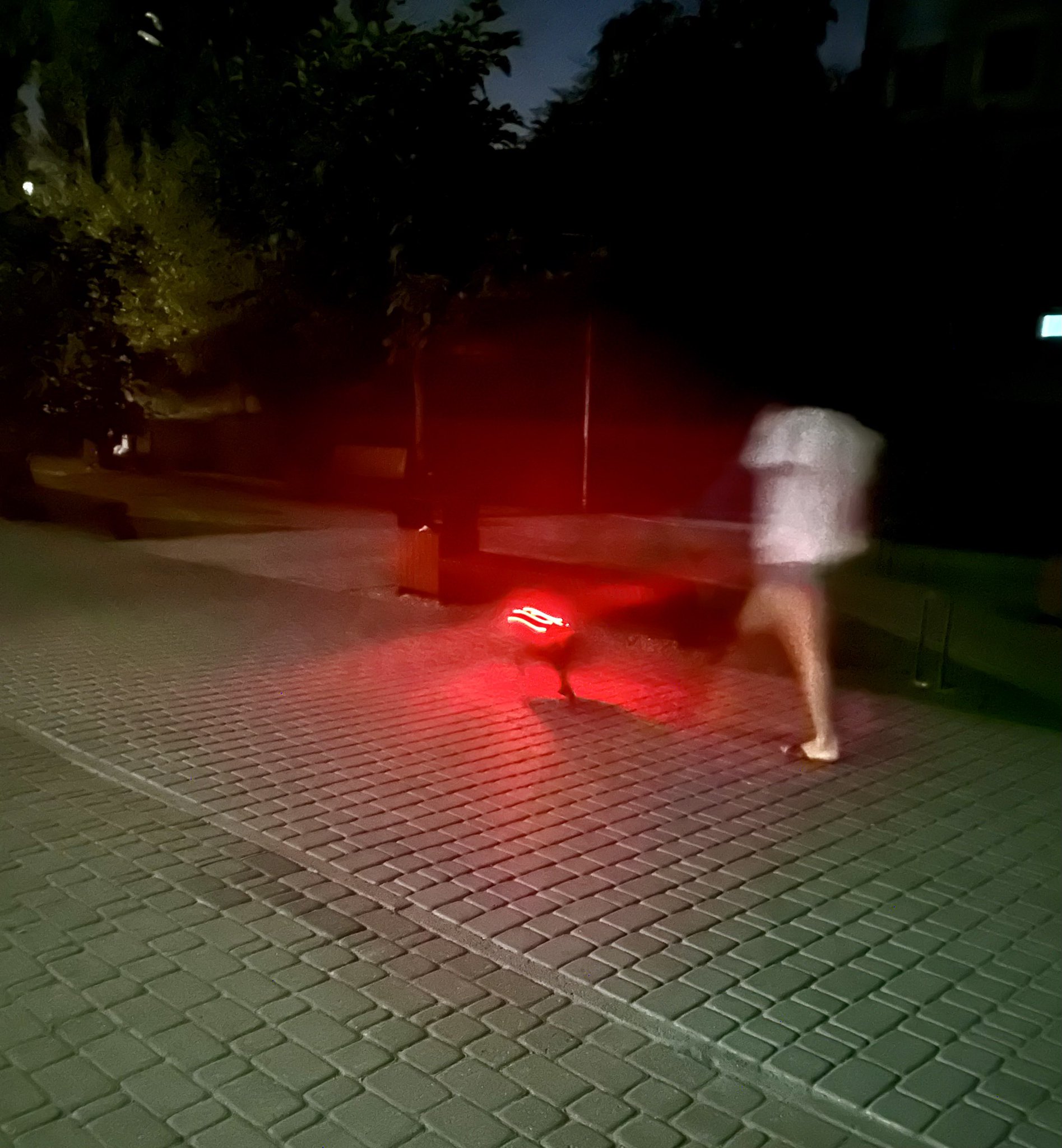 Kyiv blackout: smartphones and glowing dog collars create surreal scene