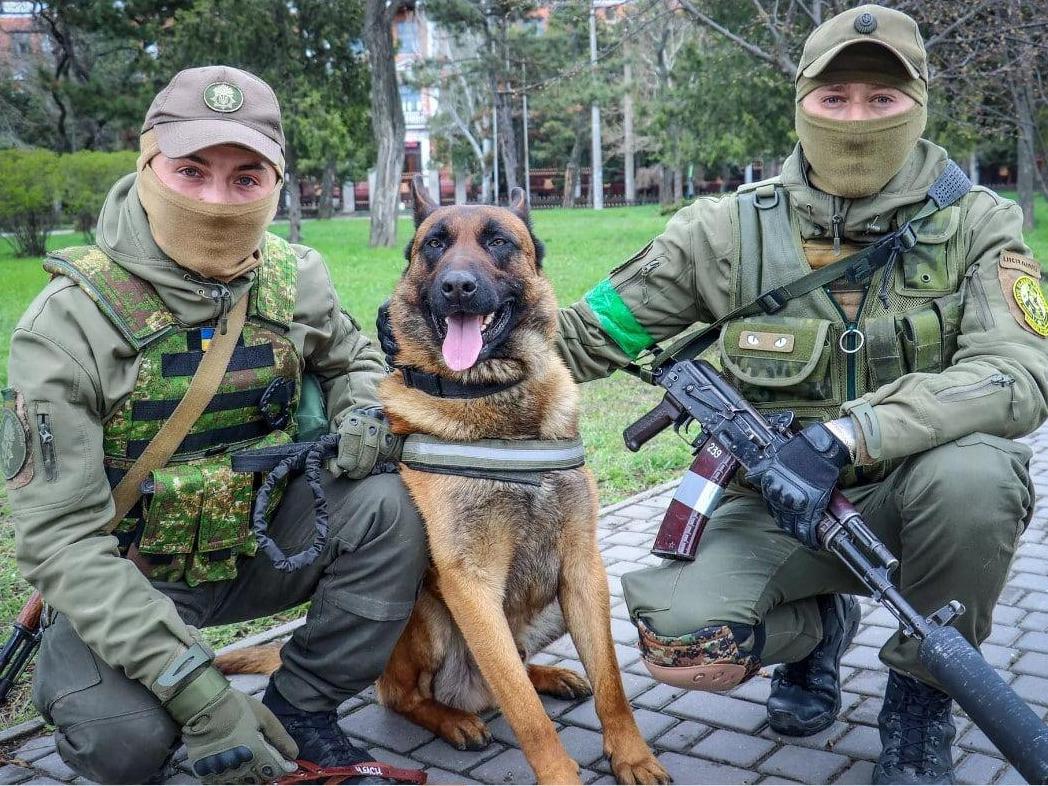 Russian Guard Dog Switches to Ukrainian National Guard