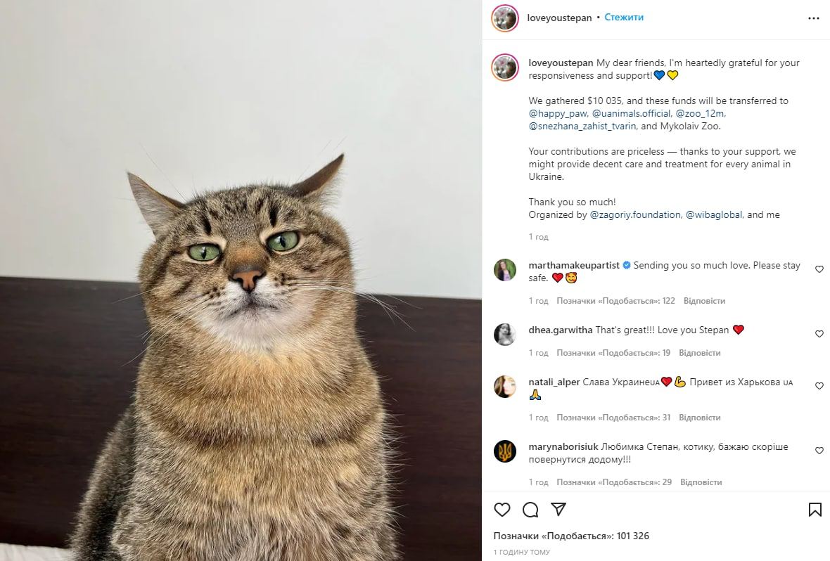 Kharkiv’s Cat Stepan Raises Over $10K for Ukrainian Animals Amidst War
