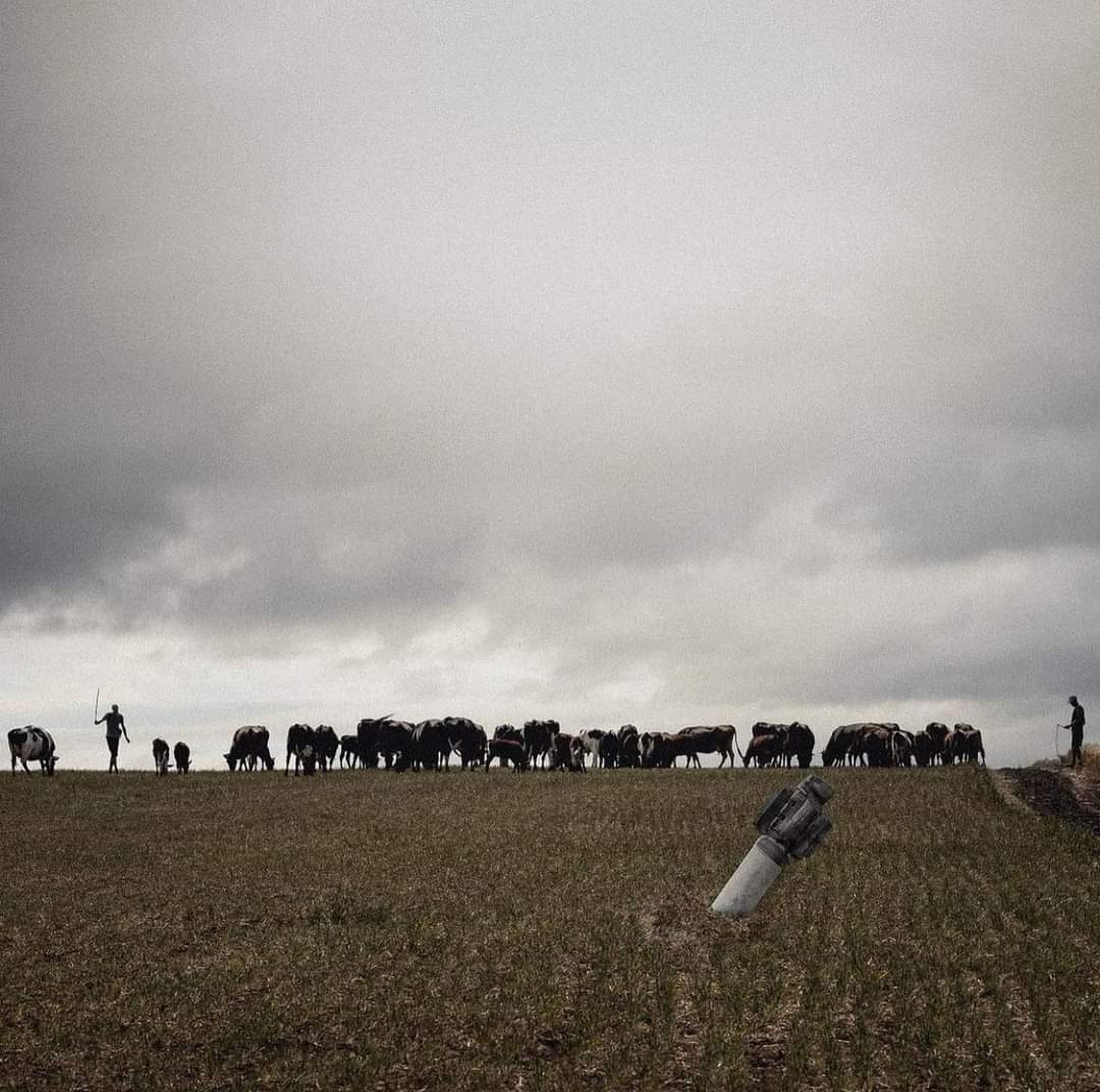 Ukrainian farmers continue work despite Russian missile in Odesa fields