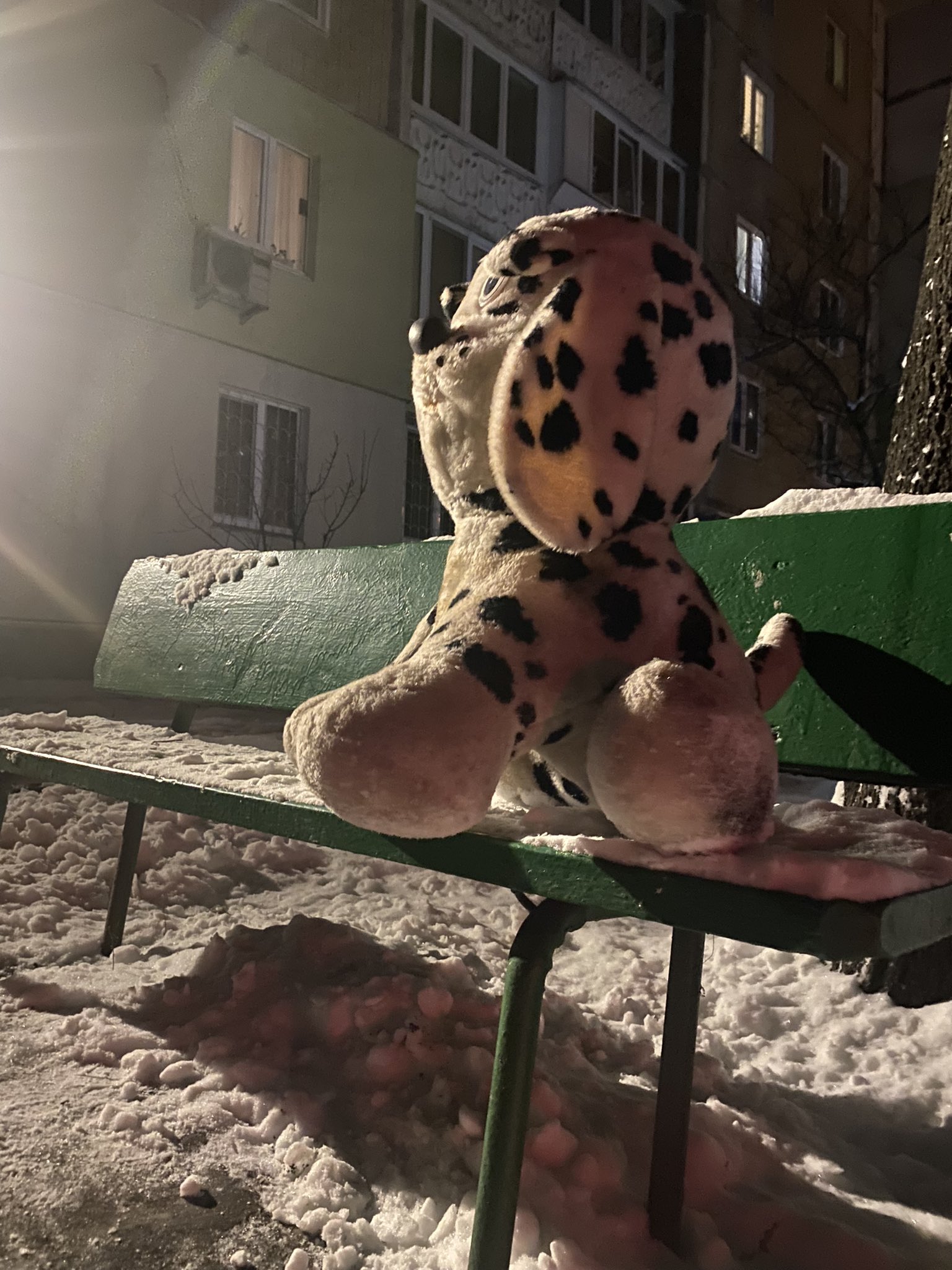 Deportation threat in occupied Ukraine on Day 280