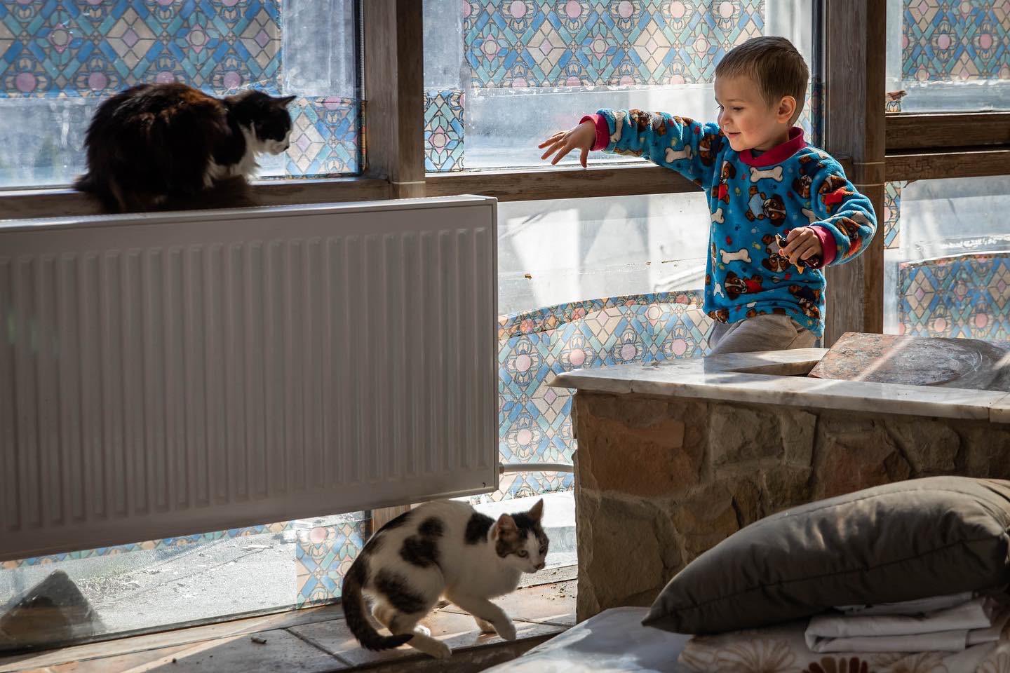 Moldovan cinema turned shelter serves Ukrainians who fled with their cats