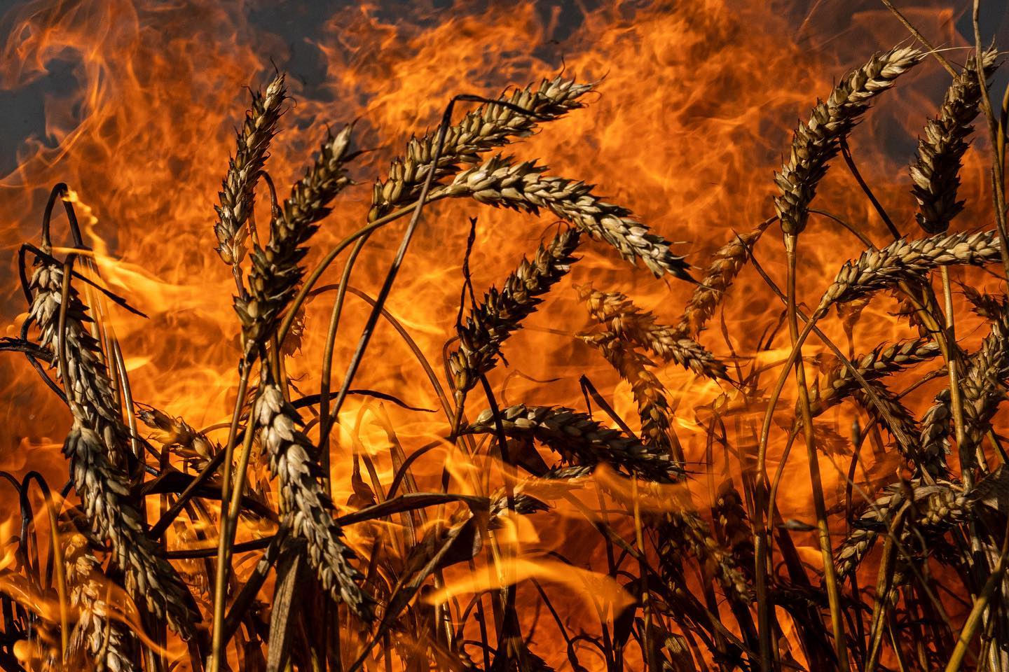 Russia: Violence in Occupied Ukraine