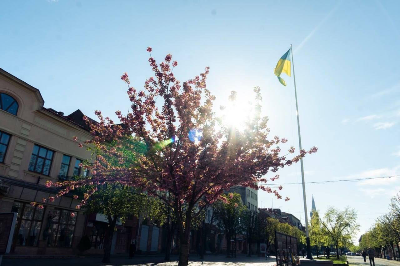 Mukachevo’s 8,000 cherry blossoms create a fairytale pink spring.