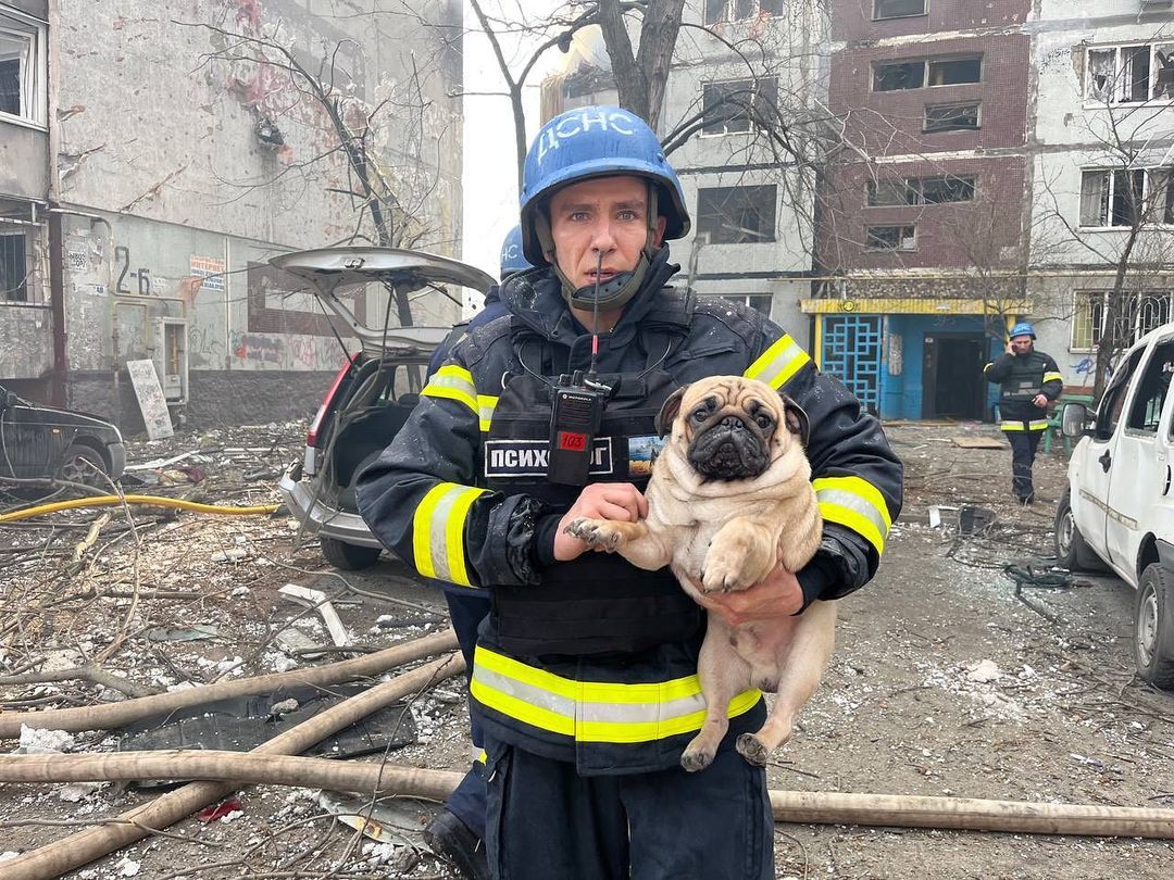 A psychologist holding a rescued puppy in Zaporizhzhia
