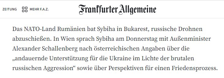 FAZ: Romania asks Ukraine to shoot down Russian drones