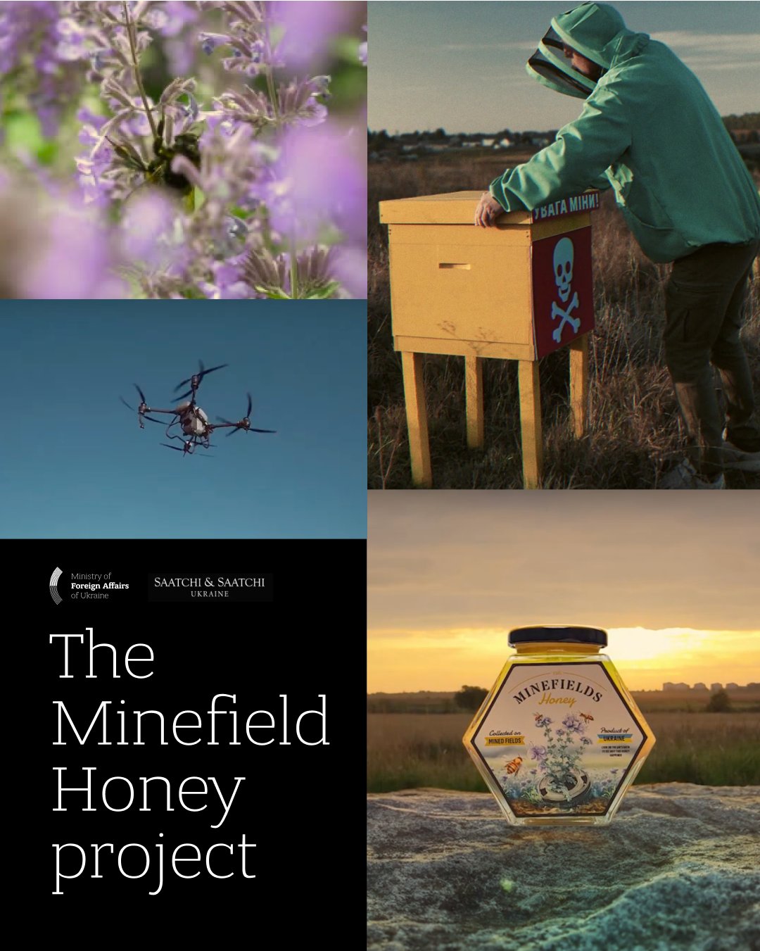 Ukraine’s bees produce honey in mined farmland on World Bee Day