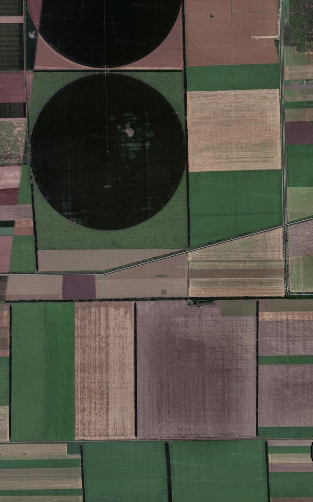 Ukrainian avant-garde inspiration from childhood fields