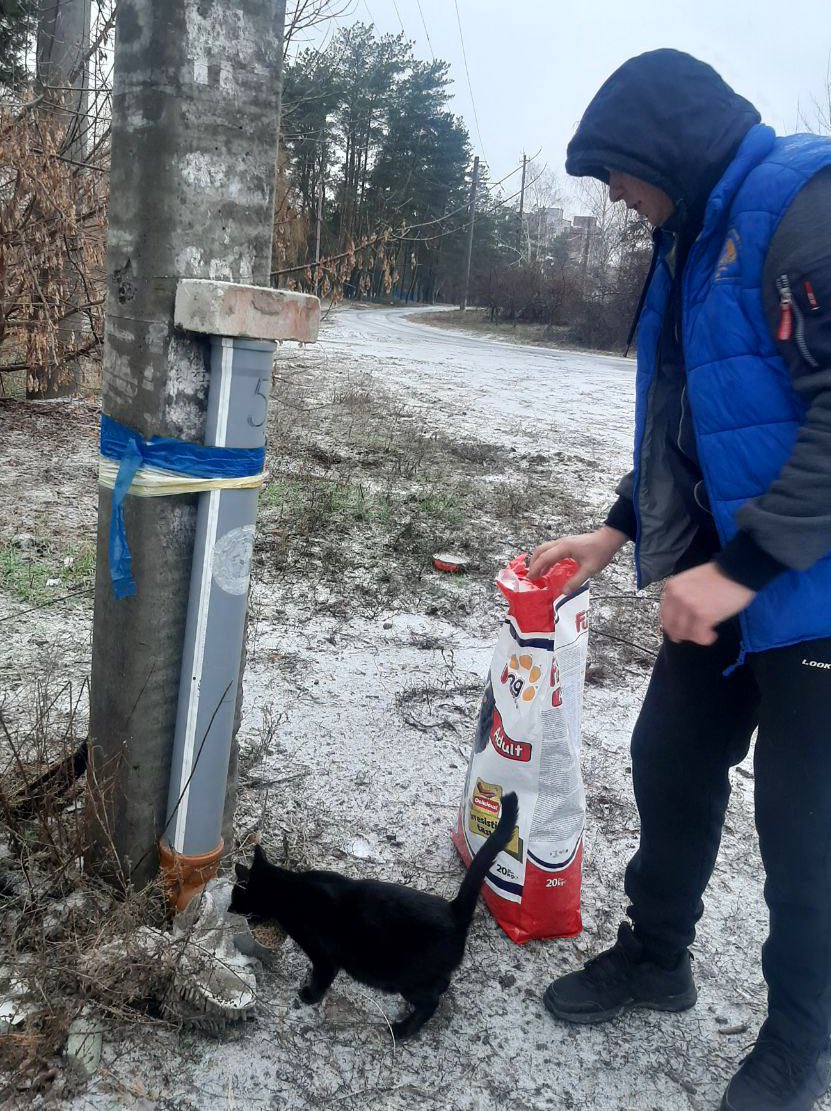 Hachiko team’s plumbing tube feeds 25,000kg food to animals near front lines