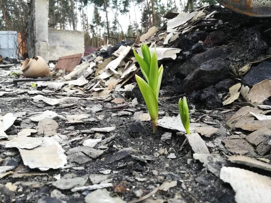 Ukraine declares life will prevail and rebuild