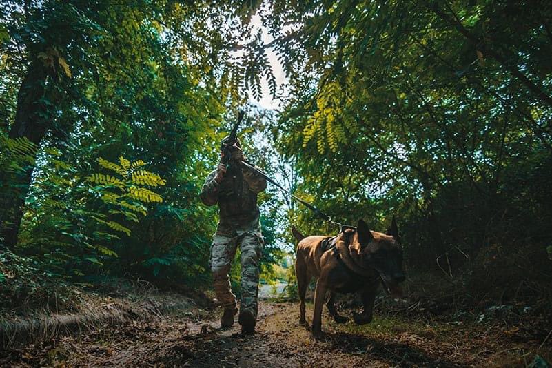 Dogs as wartime helpers in Ukraine