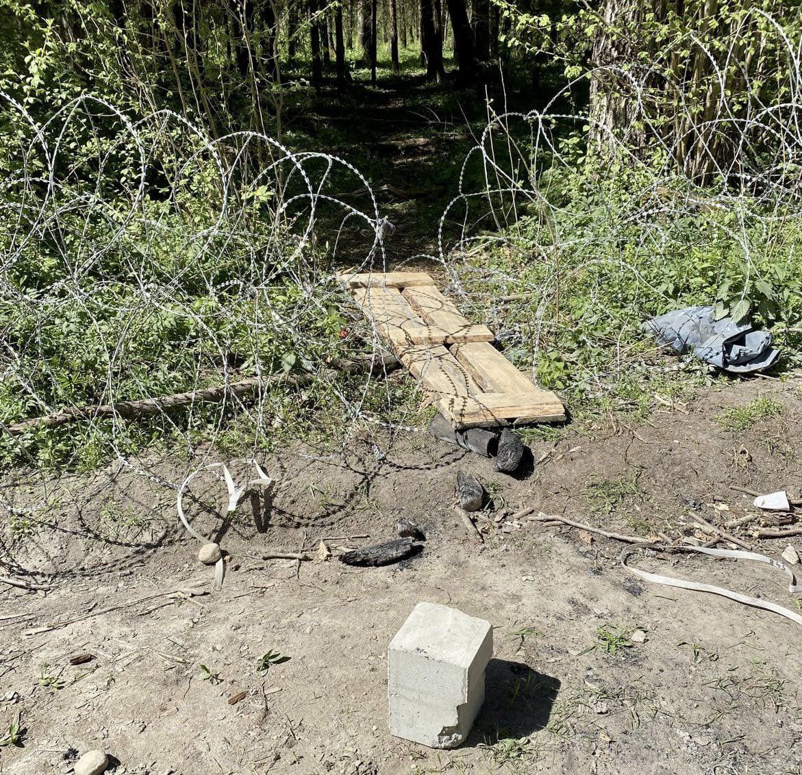 Belarusian border guards aid migrants attempting illegal EU border crossing into Poland.