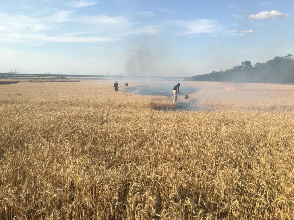 Russian troops burn 150 hectares of Ukrainian wheat field in Donetsk Oblast