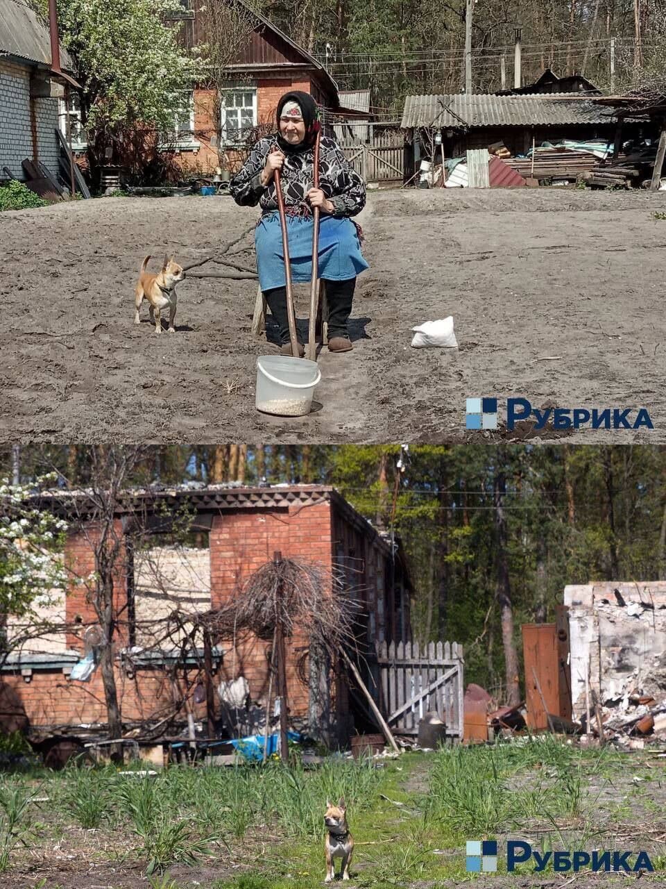 Dog Vadik mourns owners killed in bombing of Moshchun