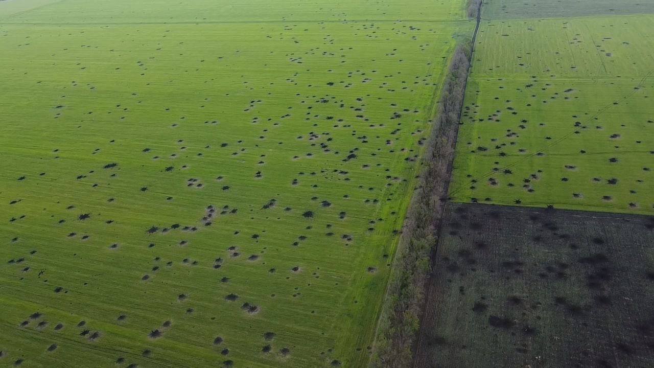 Russian fascism harms Ukrainian farmland in Donbas