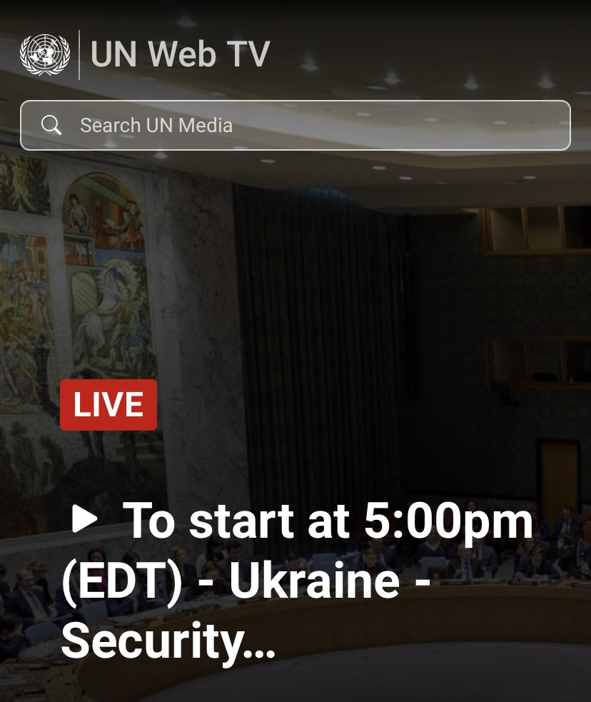 Tune in UN Security Council on Ukraine