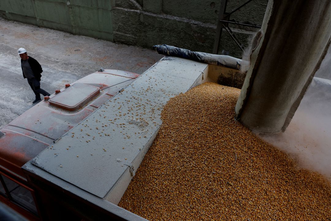Ukraine establishes grain export routes to avert global food crisis