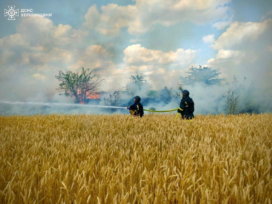 Ukrainian rescuers save 27 hectares of wheat from Russian shelling fire