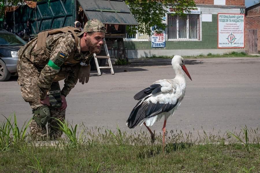 Ukrainian soldier defends Ukraine from Russian invaders in east