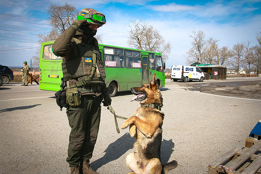 Ukrainian National Guard dog handler shares work at checkpoints