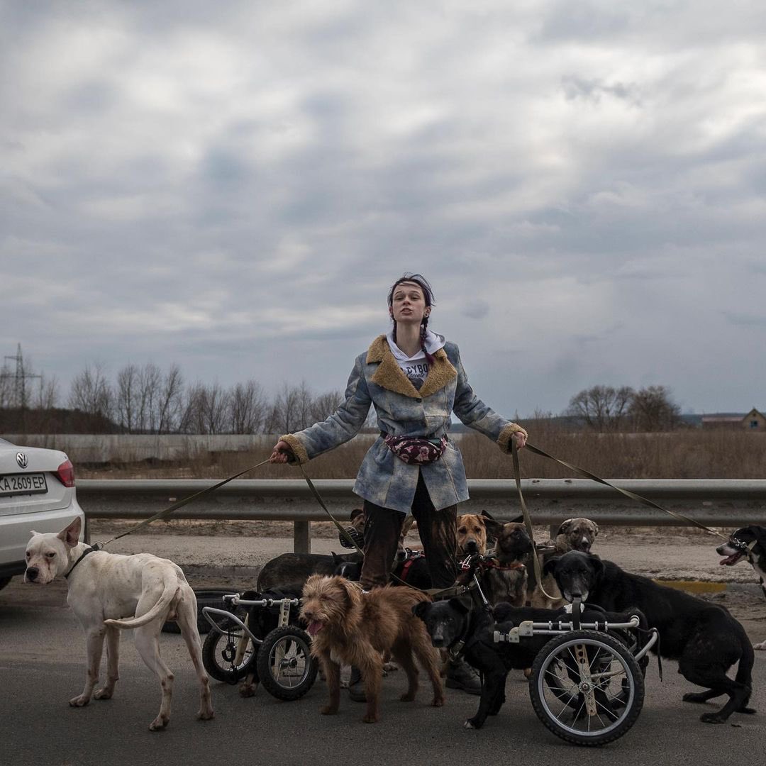 Woman saves disabled dogs from Irpin shelter amidst shelling