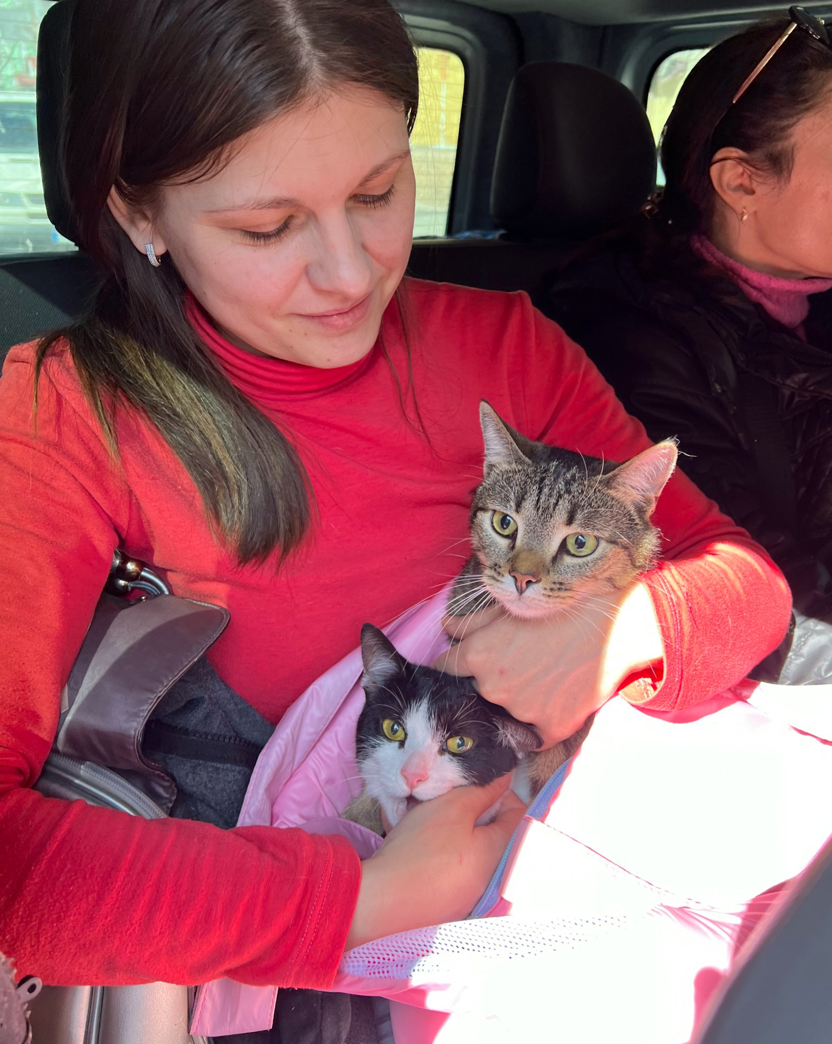 Evacuating 4 people and 2 cats, one cat meows ‘Slava Ukraini’