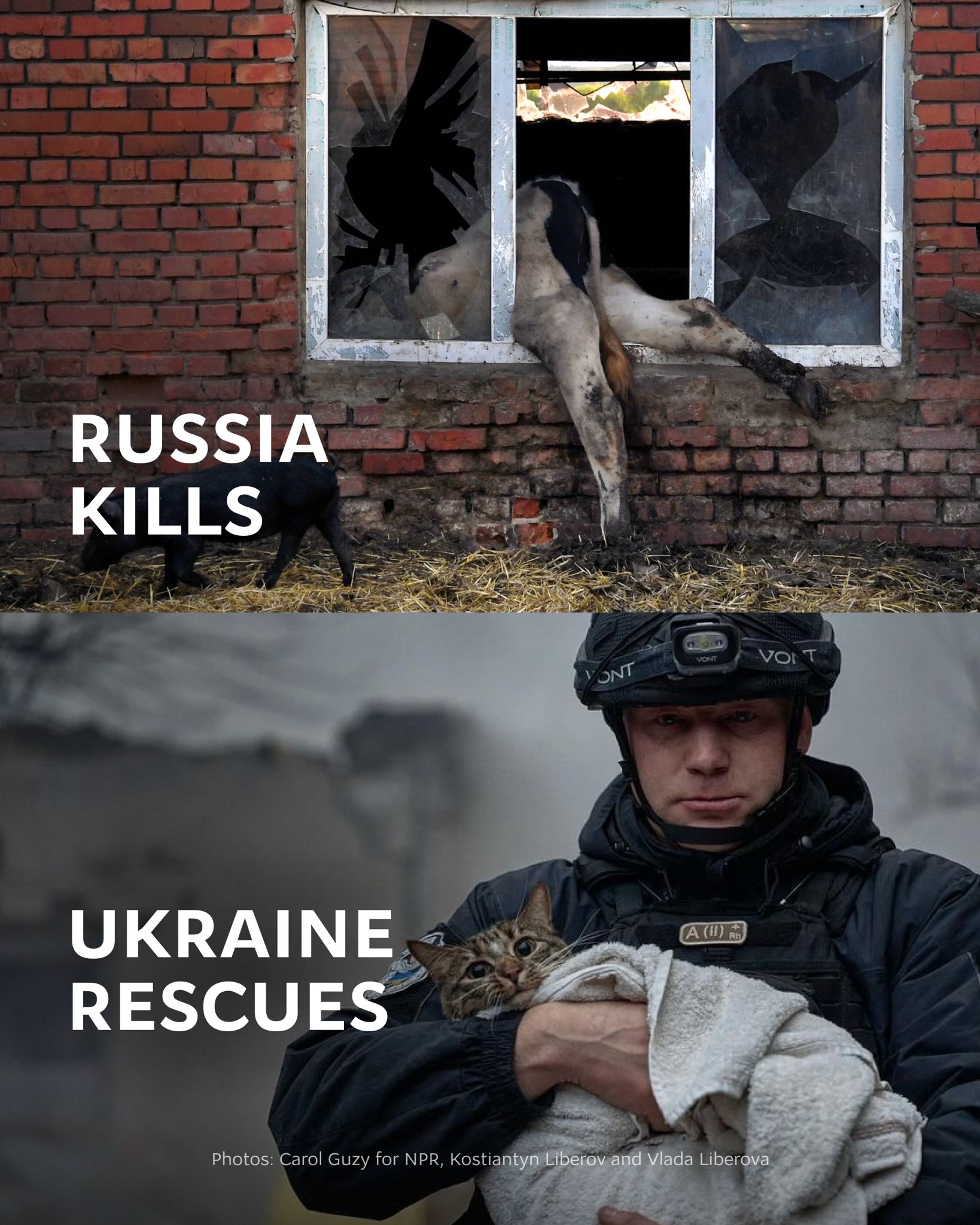 Russia kills; Ukraine saves and heals (12 words max)