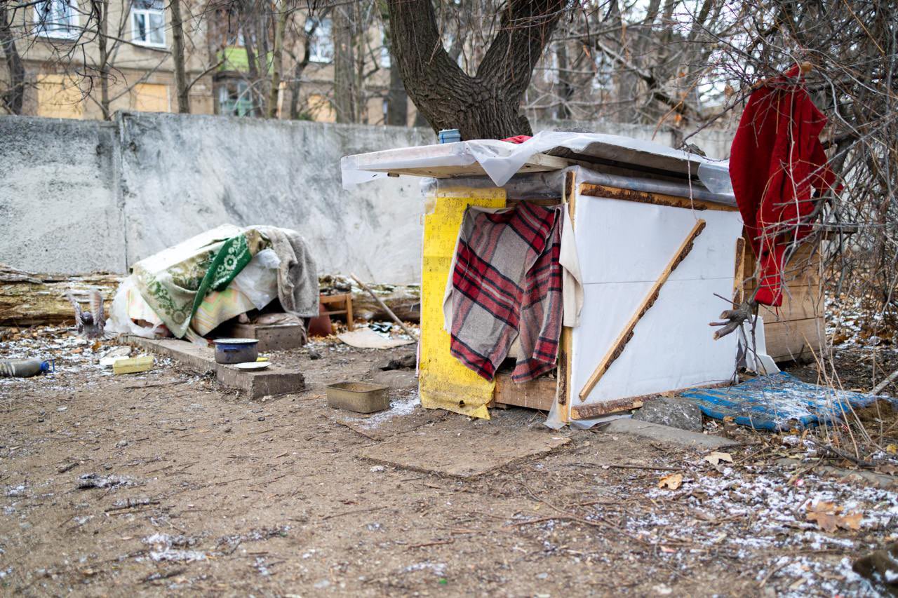 Polkan the dog and a pigeon share a doghouse in Kramatorsk