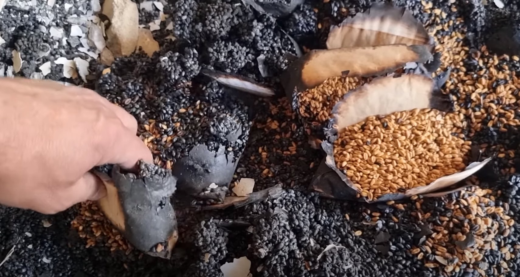 Destruction of Ukraine’s Plant Genetic Resources Center in Kharkiv