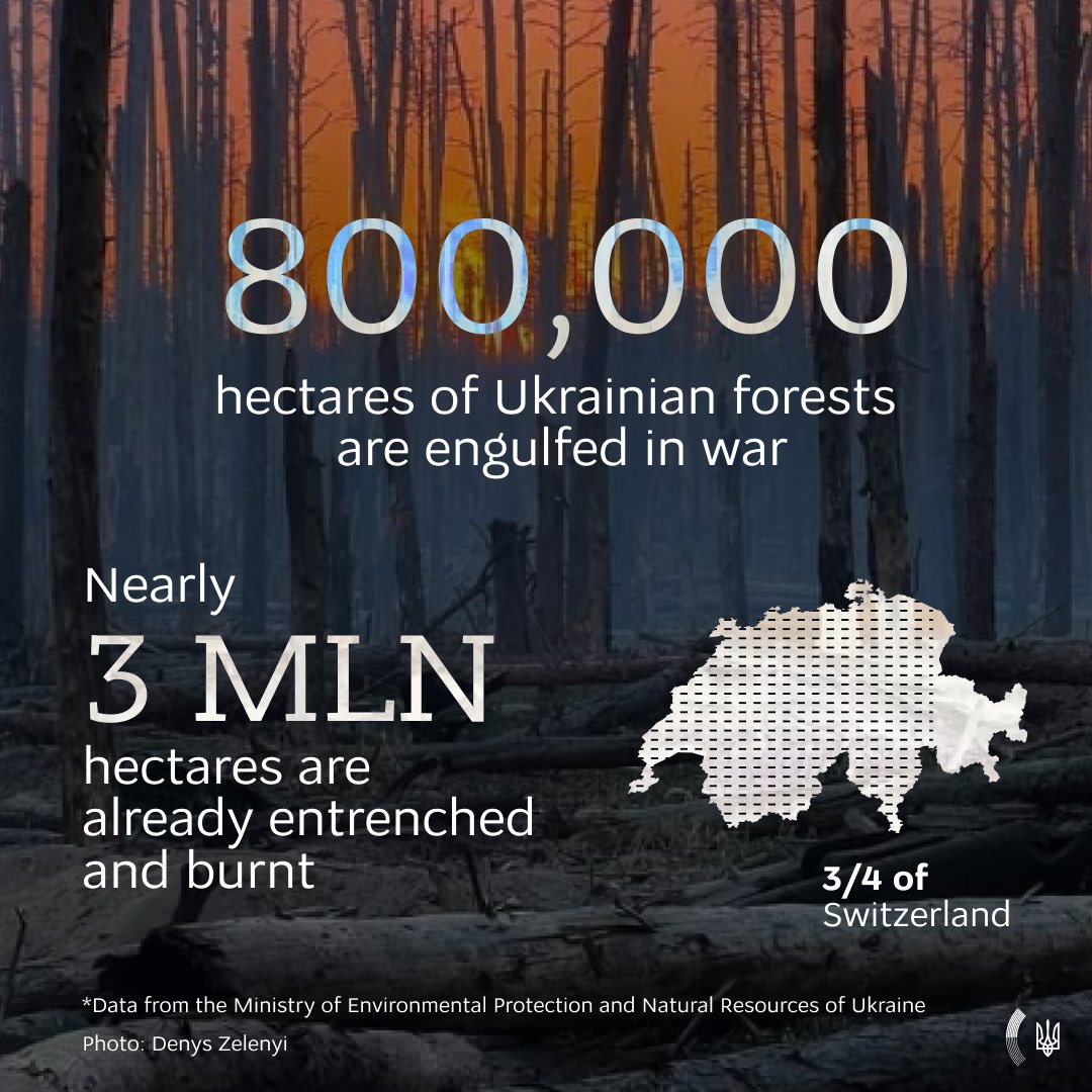 Ukrainian forests turned into battlefields under occupation, ecocide threatens