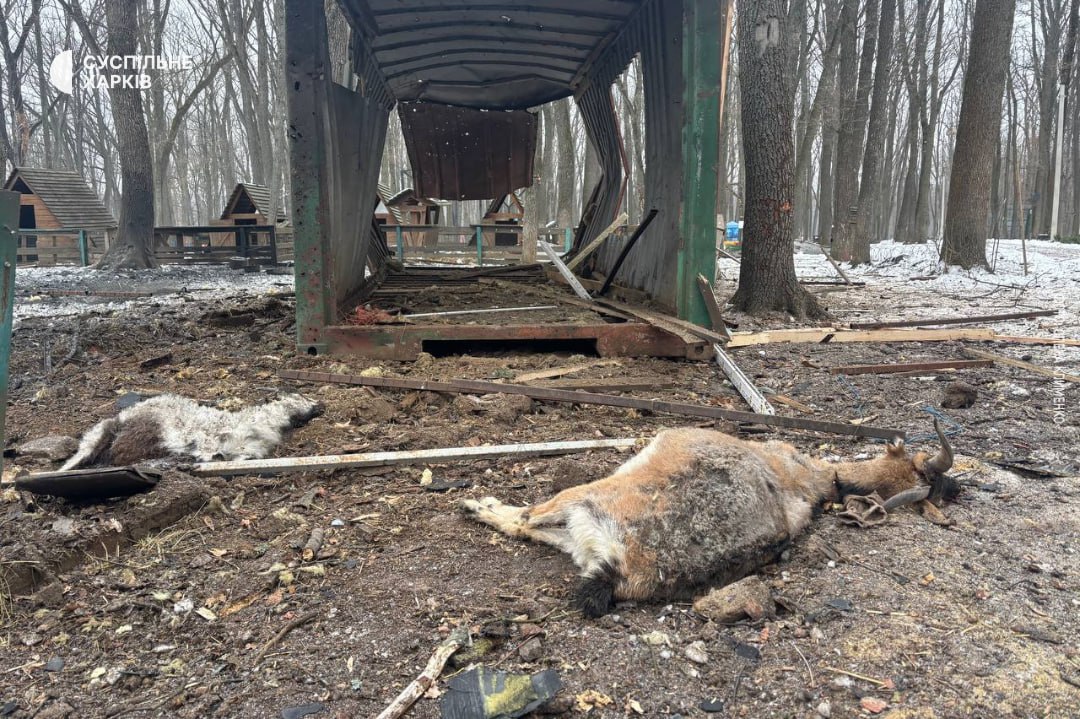 Drone russe tue des animaux près de Kharkiv