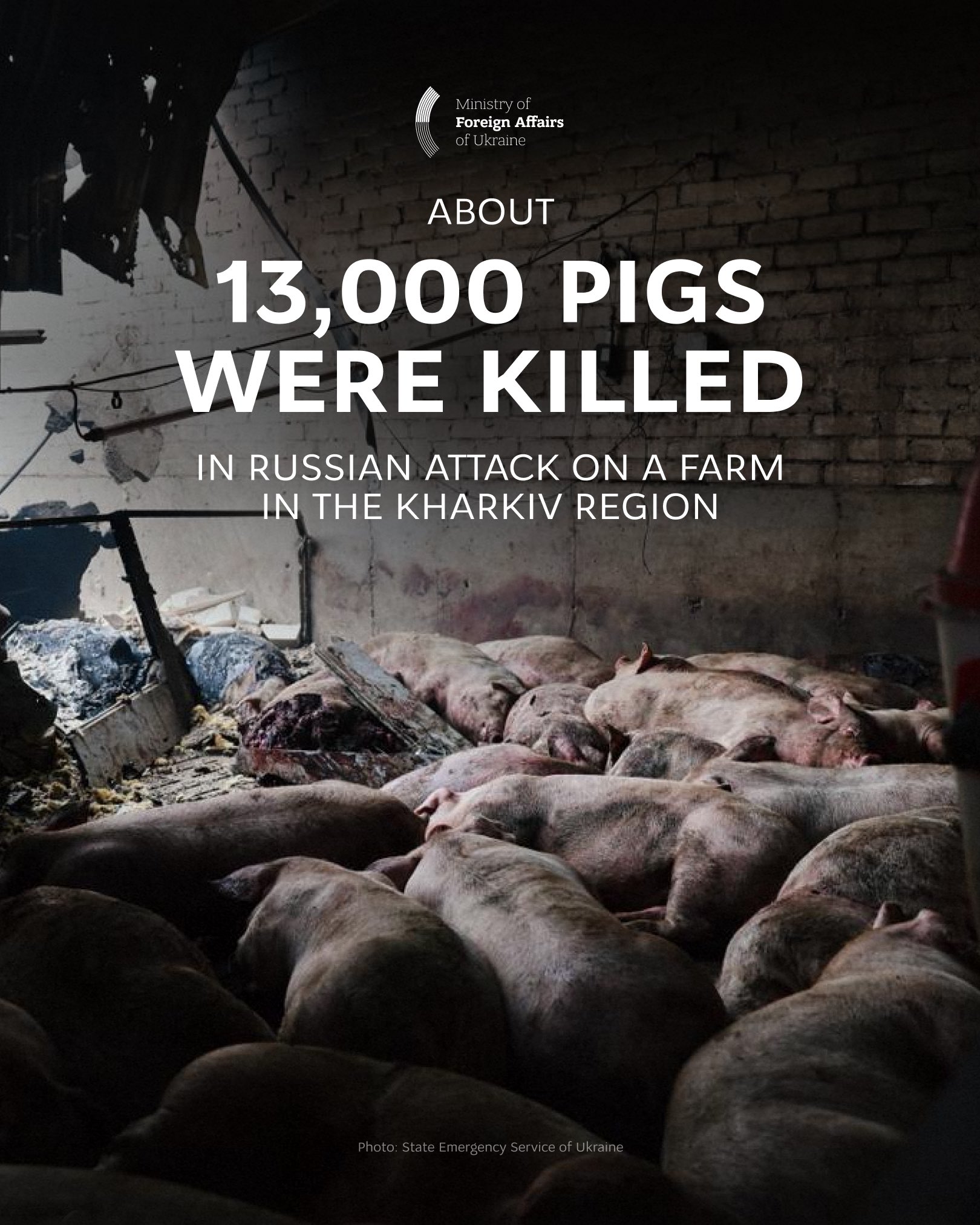 Russian Attack Kills 13,000 Pigs in Kharkiv Region Farm Fire