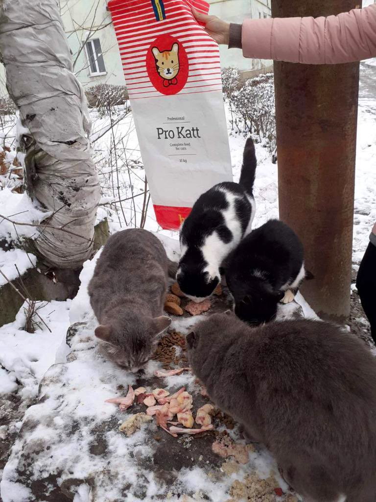 Hachiko team delivers pet food in liberated Vovchansk, Ukraine
