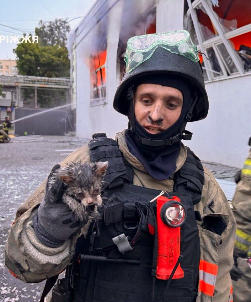 Ukrainian firefighter saves kitten after warehouse bombing