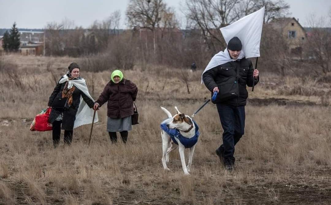 Guide dog helps visually impaired man escape destroyed Irpin