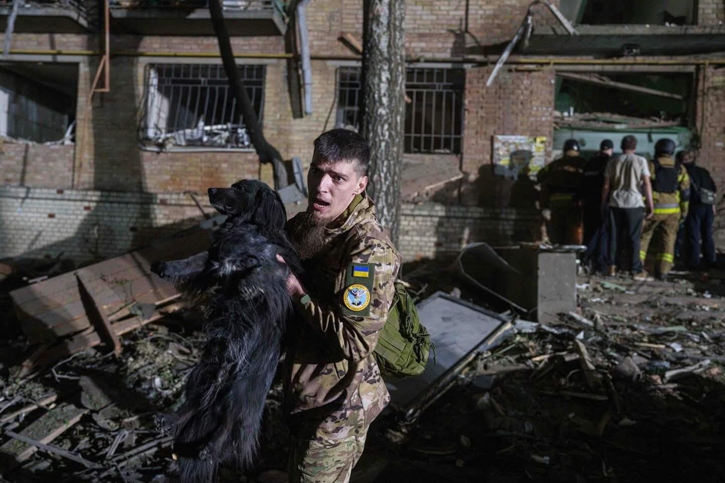 Pets impacted by Ukraine missile and drone attacks, thanks to rescuers