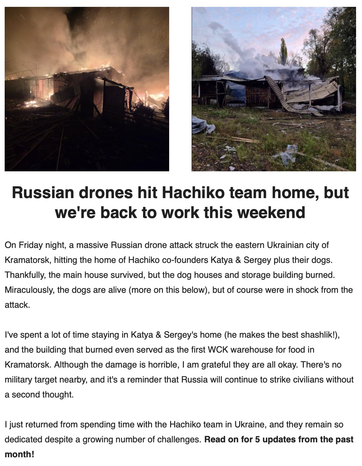 Hachiko Newsletter: Ukraine Front Lines Updates and Good News