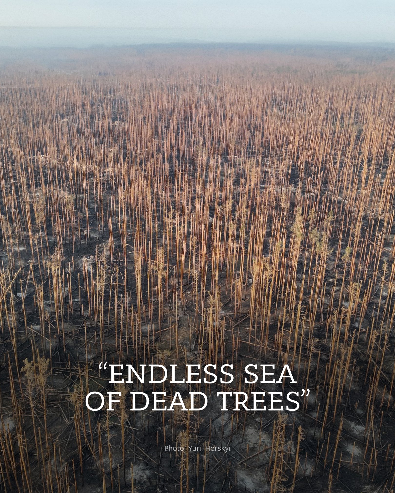 Ukraine’s ecology under threat from Russian ecocide