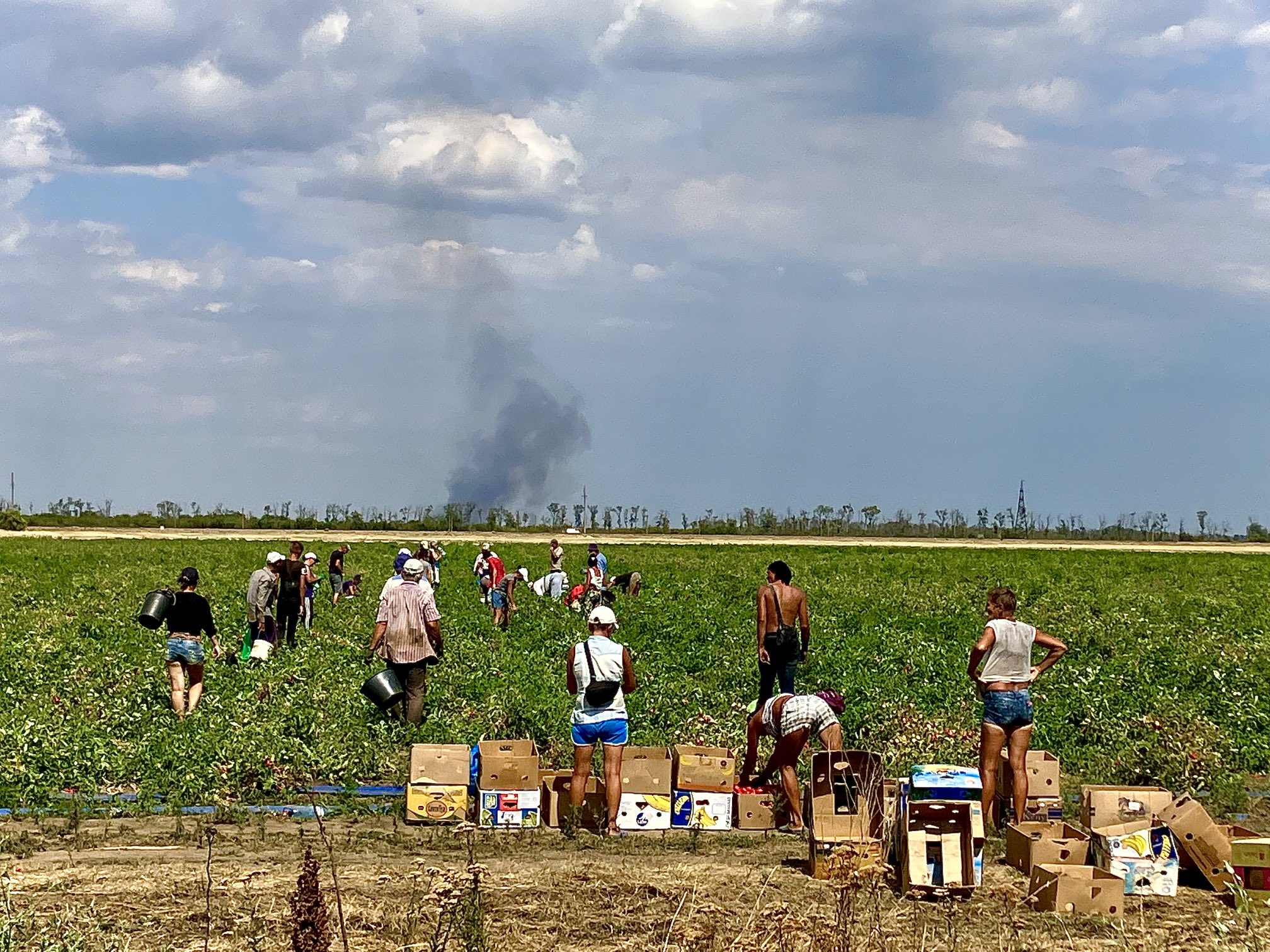 Ukrainian farmers feed the world amid Russian bombings