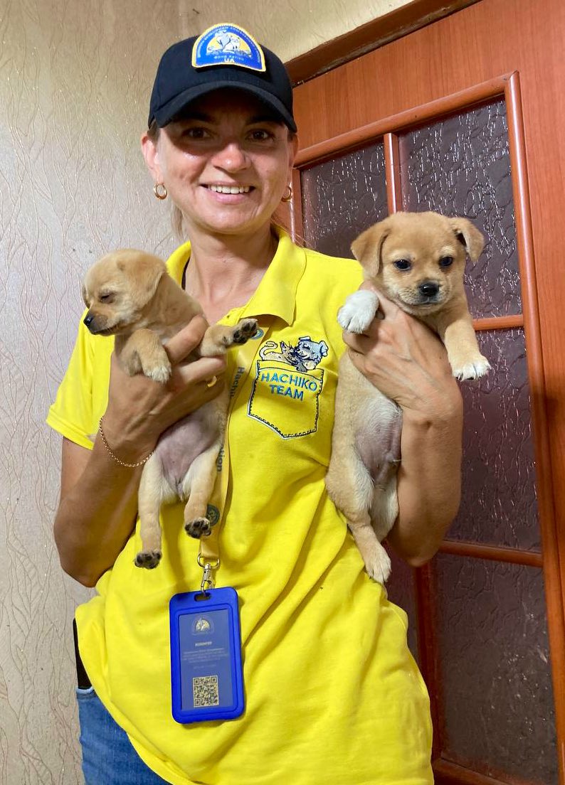 Food delivery in Ukraine: puppies and a strange dog