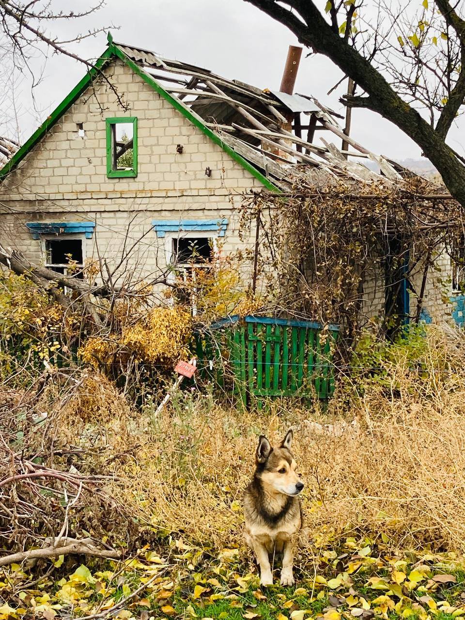 Waiting for family’s return in Kamianka, eastern Ukraine