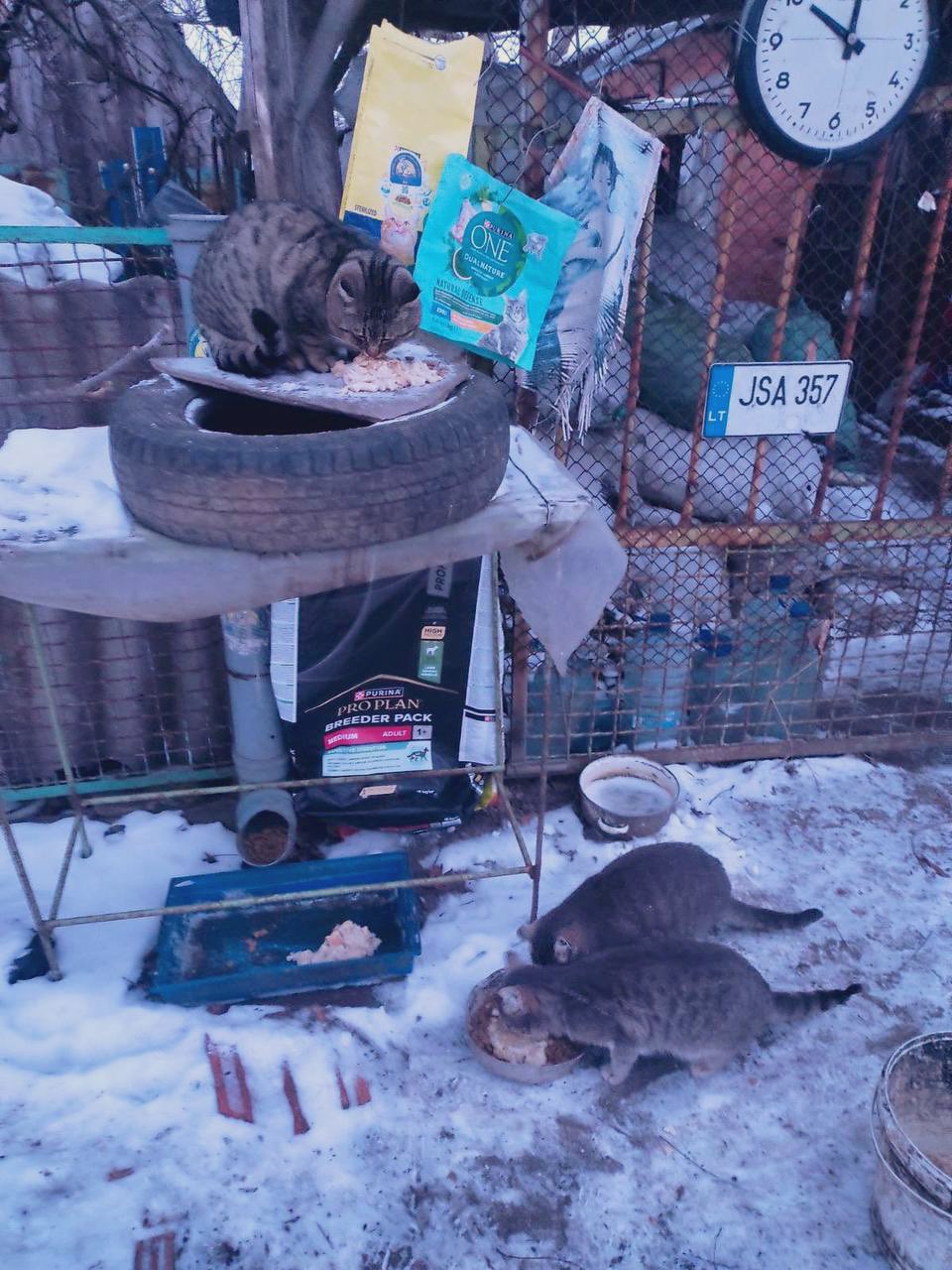 Pet food sent to Orikhiv for residents caring for pets